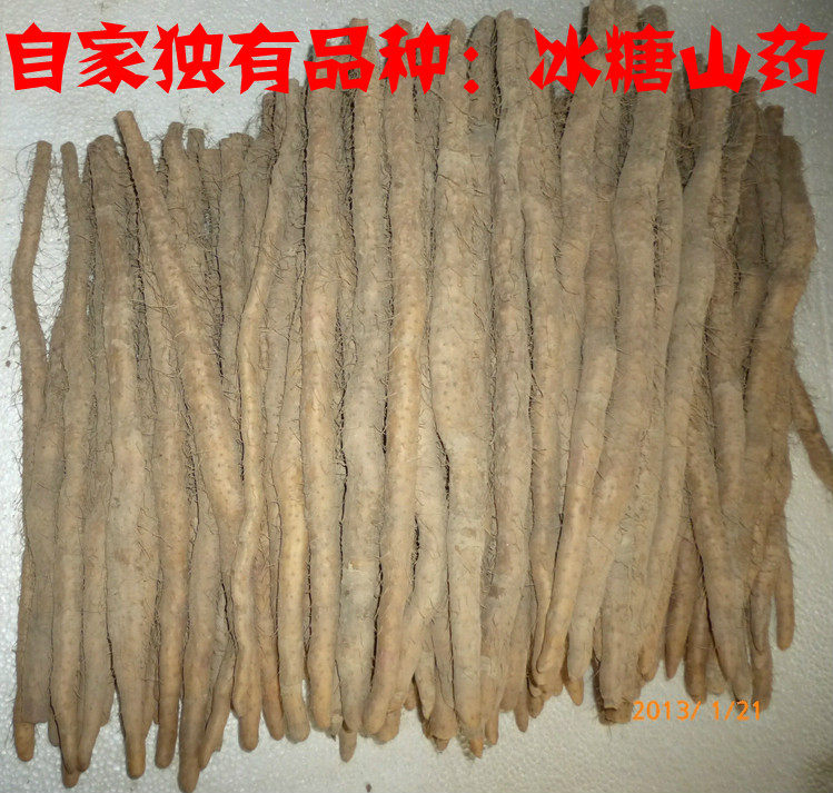 正宗温县新鲜出土冰糖铁棍山药2012面甜批发满10斤包邮现买现挖