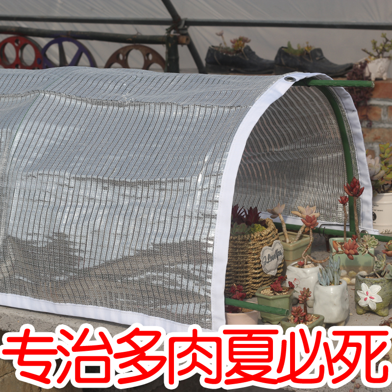 多肉遮阳网 防晒网 隔热网 进口铝箔网银白色阳台花卉 遮荫网园艺在类目 鲜花速递/花卉仿真/绿植园艺, 园艺用品, 其它园艺用品中 - 来自Buy2taobao.com提供专业的淘宝代购服务