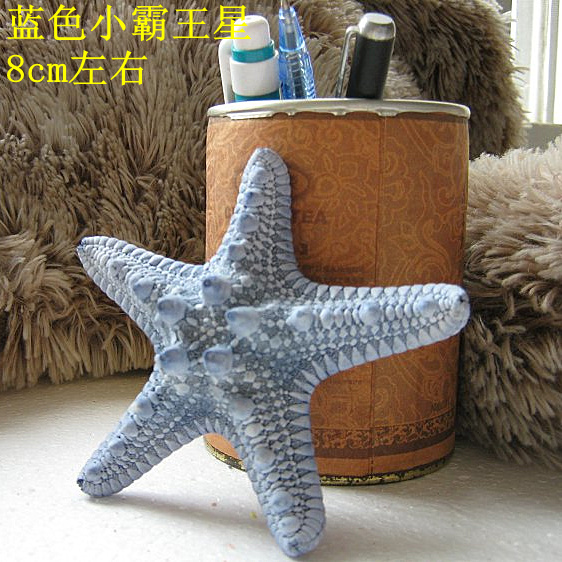 蓝色小海星霸王星贝壳套餐装饰品创意婚庆贴墙网店拍摄背景道具礼 蓝色小海星霸王星贝壳套餐装饰品创意婚庆贴墙网店拍摄背景道具礼