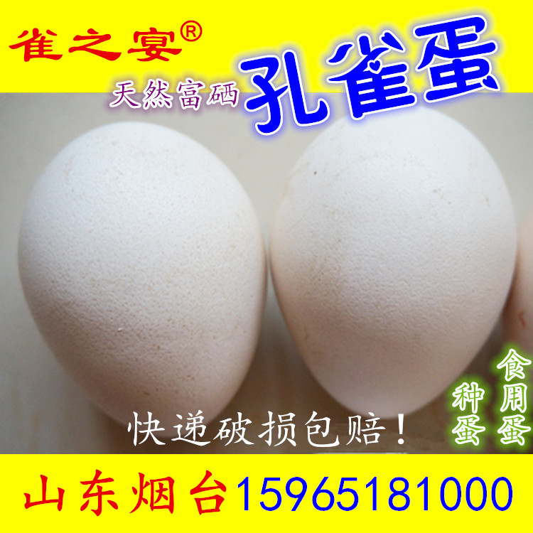 孔雀蛋可孵化受精率高 满10个包邮顺丰 食用蛋硒元素是鸡蛋700倍在类目 宠物/宠物食品及用品, 鸟类及用品, 鸟中 - 来自Buy2taobao.com提供专业的淘宝代购服务