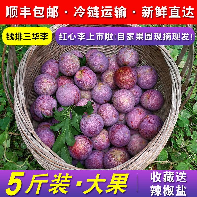 5斤大果信宜钱排三华李红心李子银妃酸甜新鲜孕妇水果 顺丰包邮在类目 水产肉类/新鲜蔬果/熟食, 新鲜水果, 李子中 - 来自Buy2taobao.com提供专业的淘宝代购服务
