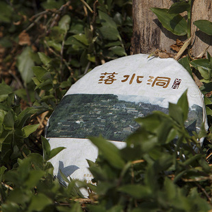  【释梵 易武落水洞】云南普洱茶叶 早春纯料易武古树茶 生茶 特价