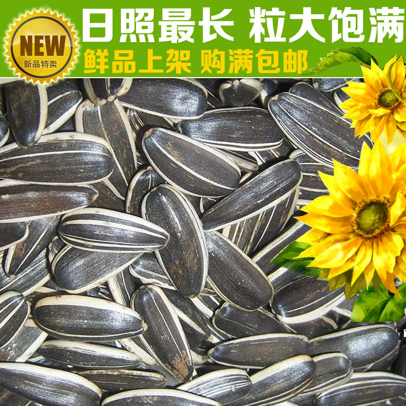 内蒙特产坚果 零食 瓜子 生葵花籽 原产地直销 250g 满六斤包邮