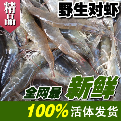 启东吕四海鲜野生新鲜鲜活大对虾 活虾基围虾基尾虾江浙沪5斤包邮在类目 水产肉类/新鲜蔬果/熟食, 海鲜/水产品/制品, 虾类, 活虾中 - 来自Buy2taobao.com提供专业的淘宝代购服务