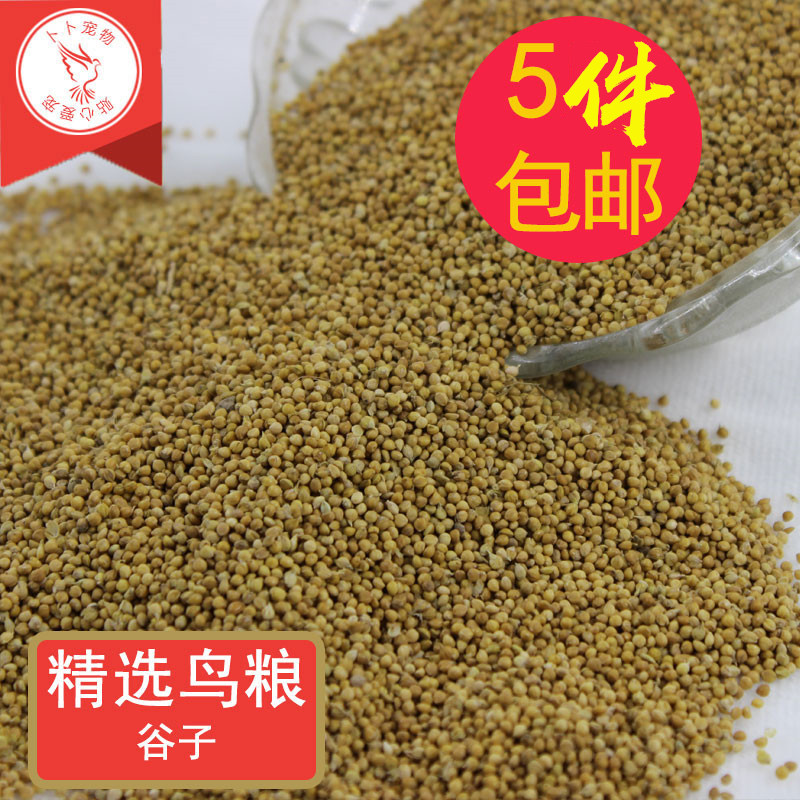 Specials parrot birdseed Birds feed natural food Lili Millet 250 Shelling milletin the Pet/Pet food and supplies , Birds and supplies , Bird food category - from Buy2taobao.com to provide professional Taobao agent buy service