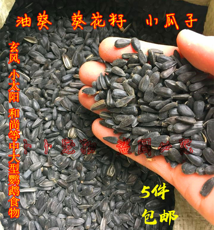 特价油葵葵花籽鹦鹉食物小太阳玄风鹦鹉和尚中大型鹦鹉鸟食300g在类目 宠物/宠物食品及用品, 鸟类及用品, 鸟食中 - 来自Buy2taobao.com提供专业的淘宝代购服务