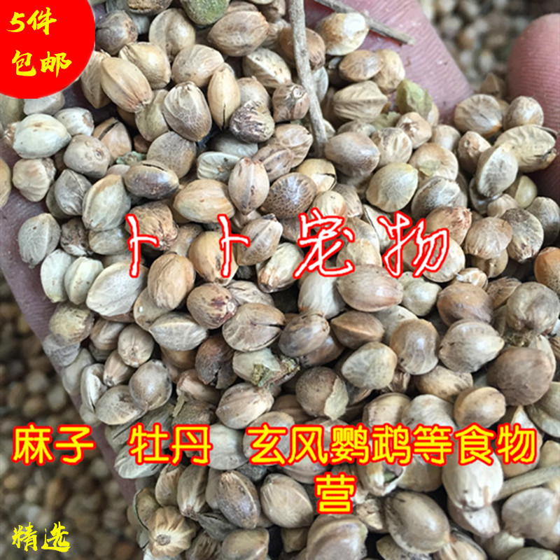 特价促销麻子牡丹鹦鹉鸟食小鸟活体食物大型鹦鹉鸟食300g|msdalam kategori haiwan peliharaan/makanan haiwan dan bekalan, Burung dan bekalan, makanan burung - dari Buy2taobao.com untuk memberikan perkhidmatan ejen Taobao profesional membeli