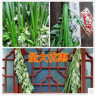 Dragon boat festival Front fresh argy wormwood calamus Leaves Mugwort Insect repellent Cold children pregnant woman take a shower Foot bathin the Flower delivery/Flowers simulation/Plants gardening , Flowers/Potted plants (New) , Plants category - from Buy2taobao.com to provide professional Taobao agent buy service