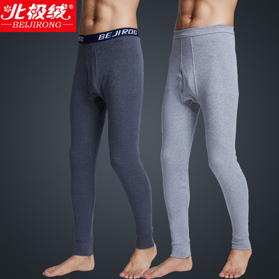 北极绒秋裤男士纯棉薄款单件冬季紧身打底全棉毛裤线裤衬裤保暖裤