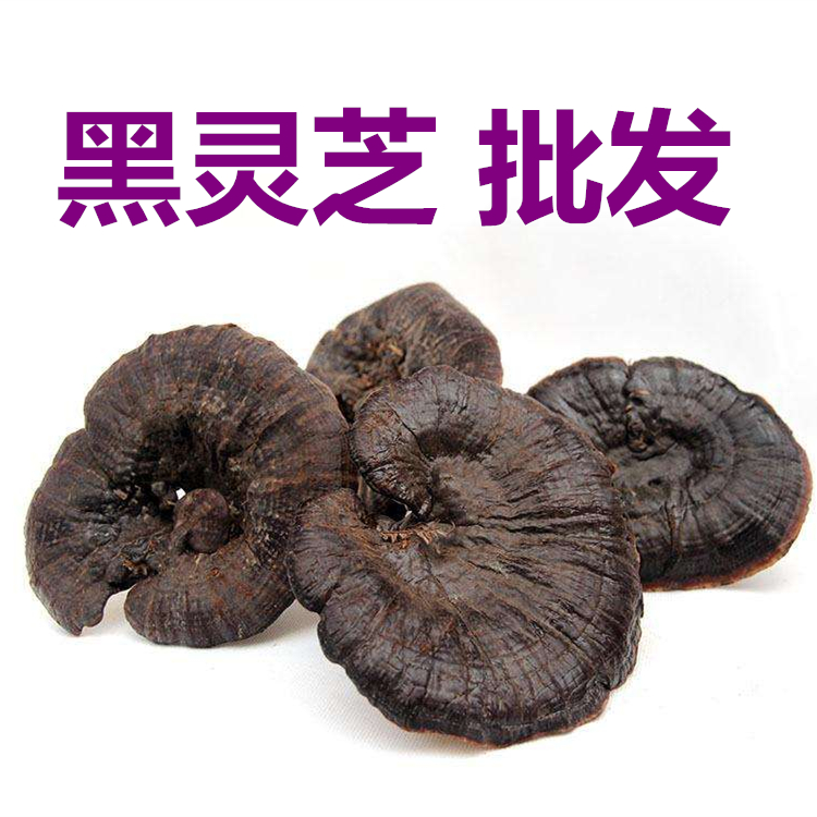Black Ganoderma Black Ganoderma lucidum Black Chi Semi-wild section Ganoderma Chinese medicinal herbs for pruning 500g gramin the Traditional nourishing food , Ganoderma , Pruning Ganoderma category - from Buy2taobao.com to provide professional Taobao agent buy service