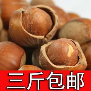  3斤包邮 特产美国大榛子 香脆可口 糖炒 坚果零食 5斤送钳子 250g