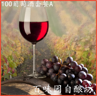  100斤葡萄酿酒辅料大全 包含酿酒酵母 果胶酶 调硫片 澄清剂等A