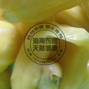  20斤包邮海南农家自产 热带水果新鲜菠萝蜜 马来西亚品种苞大甘甜