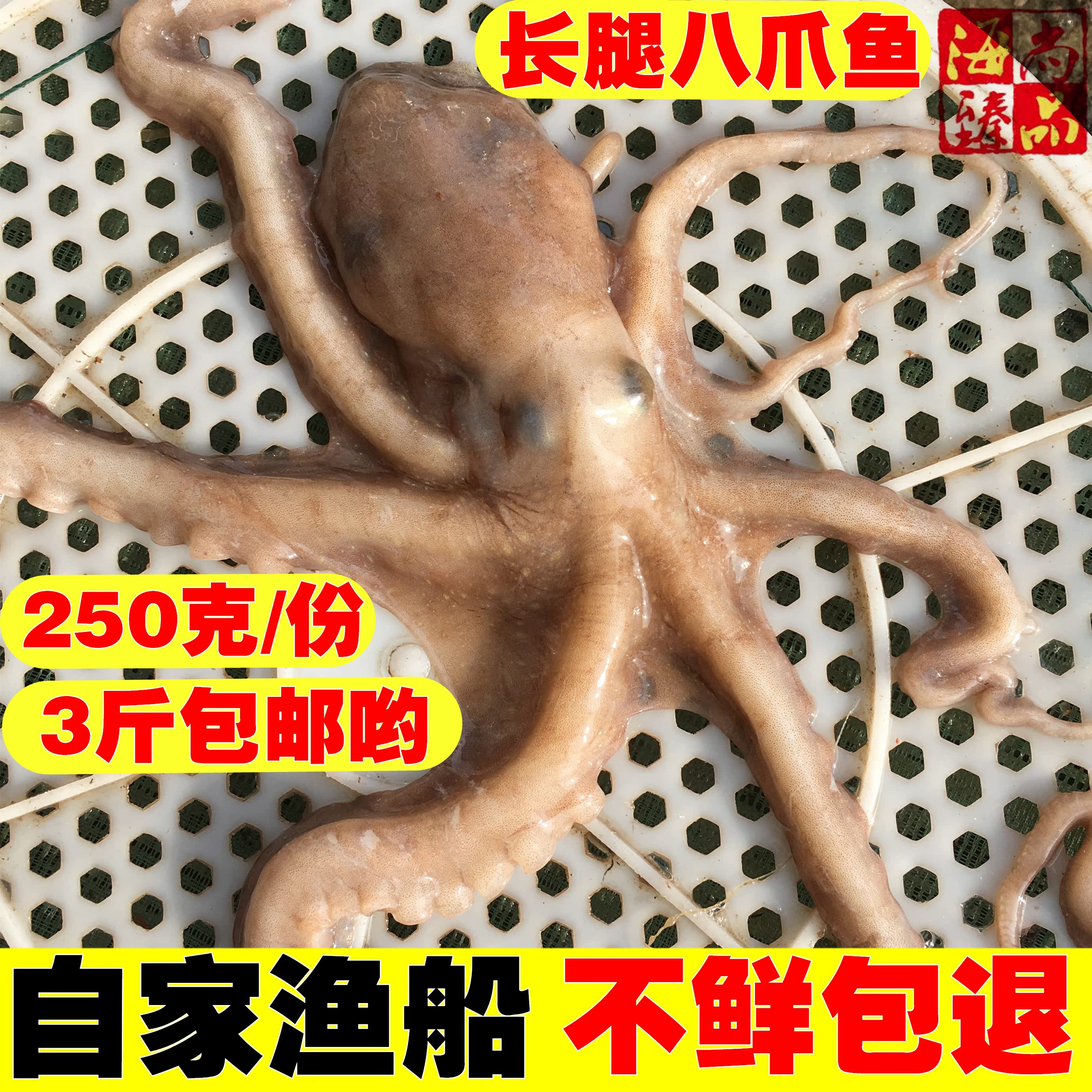 海鲜水产长腿八爪鱼鲜活网红大爆头八爪鱼野生大章鱼大八抓鱼刺身在类目 水产肉类/新鲜蔬果/熟食, 海鲜/水产品/制品, 章鱼, 冷冻章鱼中 - 来自Buy2taobao.com提供专业的淘宝代购服务