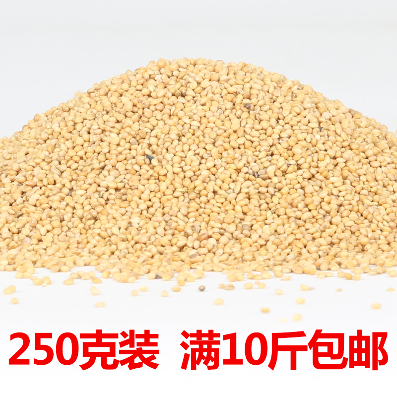 鹦鹉鳥食飼料牡丹玄鳳黃雀糧食帶殼小米黃谷子鳥糧250g文鳥食物在類目 寵物/寵物食品及用品, 鳥類及用品, 鳥食中 - 來自Buy2taobao.com提供專業的淘寶代購服務
