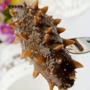  【芙蓉岛】高压即食海参500g  肉质厚实有弹性 10-20头可选
