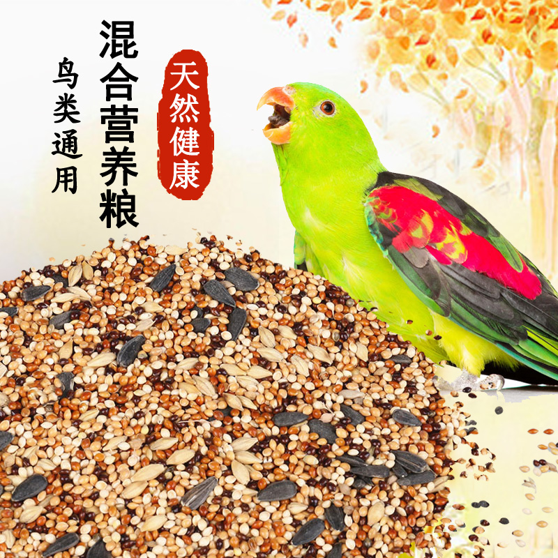 鹦鹉飼料虎皮鹦鹉鳥食飼料食物帶殼谷子小米牡丹玄鳳鹦鹉食鳥糧在類目 寵物/寵物食品及用品, 鳥類及用品, 鳥食中 - 來自Buy2taobao.com提供專業的淘寶代購服務