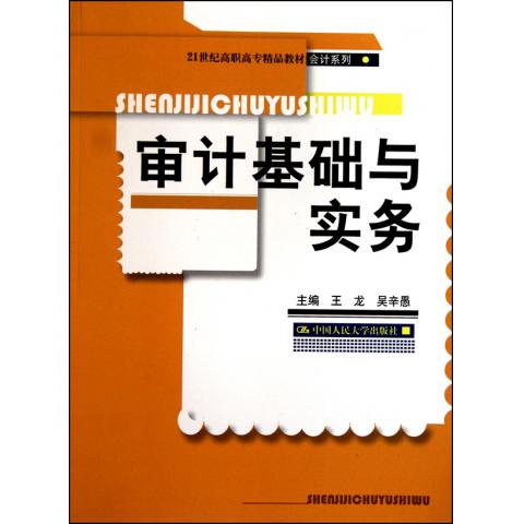 审计基础与实务多少钱,审计基础与实务网上专