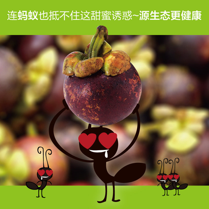 【时令最新鲜】泰国 果后 花皮山竹