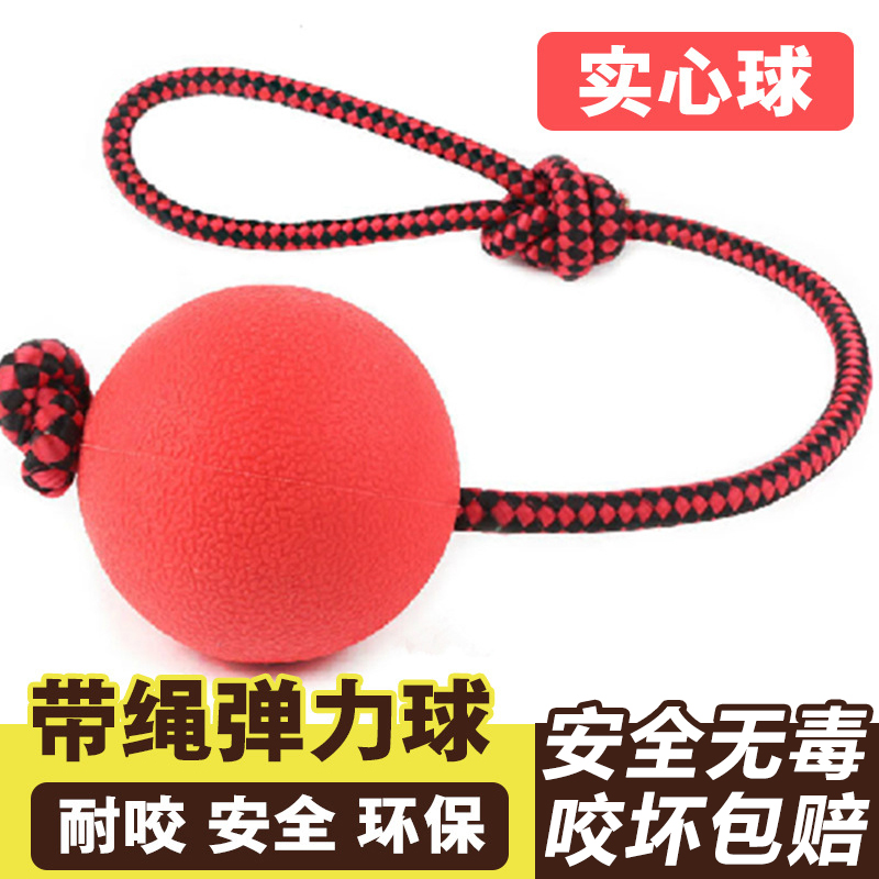 宠物磨牙弹力球实心橡胶棉绳手提狗狗玩具球训练逗犬耐咬环保无毒在类目 宠物/宠物食品及用品, 猫/狗玩具, 发声玩具中 - 来自Buy2taobao.com提供专业的淘宝代购服务