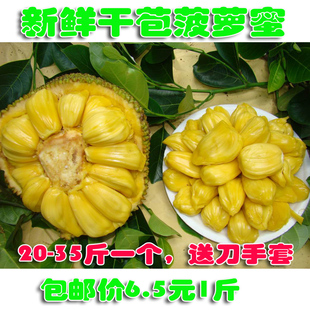  热带水果 新鲜菠萝蜜 干苞 海南菠萝蜜 包邮 马来西亚1号 整个卖