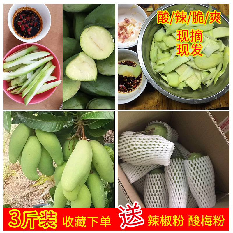 酸芒果 新鲜芒果海南生吃青芒果 生芒果 酸芒果3斤水果青芒包邮在类目 水产肉类/新鲜蔬果/熟食, 新鲜水果, 芒果中 - 来自Buy2taobao.com提供专业的淘宝代购服务