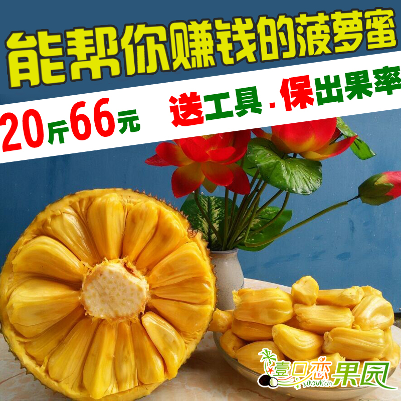 20 Hainan fresh fruit Tropical jackfruit Big tree jackfruit 40 The Baltic Durianin the Aquatic meat/Fresh fruits and vegetables/Cooked , Fresh fruit , Other category - from Buy2taobao.com to provide professional Taobao agent buy service