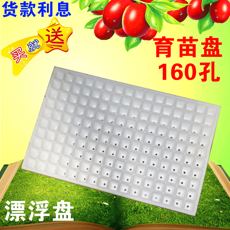 160 Succulent Seedling tray Sprouts Seedling tray Aquatic Sprouts Seedling tray foam Acupoint disk Trayin the Flower delivery/Flowers simulation/Plants gardening , Gardening supplies , Seedling tray/Nutritional bowl category - from Buy2taobao.com to provide professional Taobao agent buy service