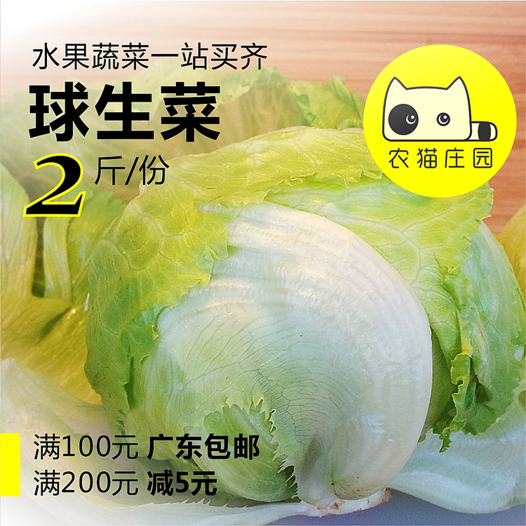 球生菜 2斤 新鲜西生菜 农猫庄园 深圳水果沙拉蔬菜西餐简餐轻食在类目 水产肉类/新鲜蔬果/熟食, 新鲜蔬菜/蔬菜制品, 新鲜蔬菜, 其它中 - 来自Buy2taobao.com提供专业的淘宝代购服务