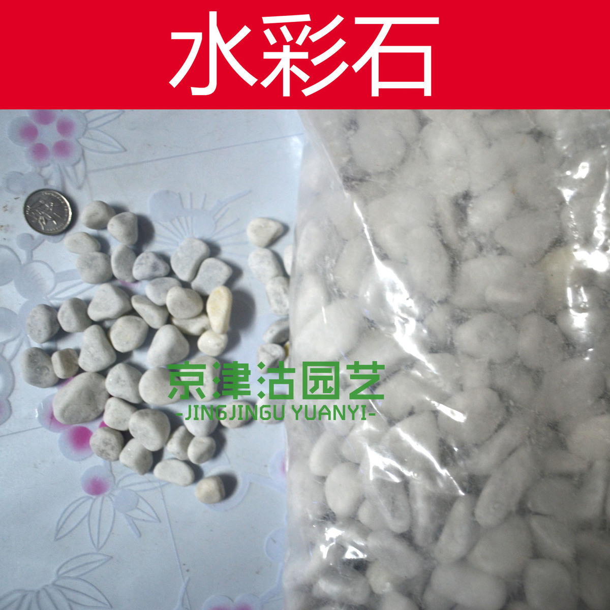 Special Offer gardening white stone Pebbles Stone Color stone Hydroponics decorate Beautify Multiple Optionalin the Flower delivery/Flowers simulation/Plants gardening , Gardening supplies , Other Garden Supplies category - from Buy2taobao.com to provide professional Taobao agent buy service
