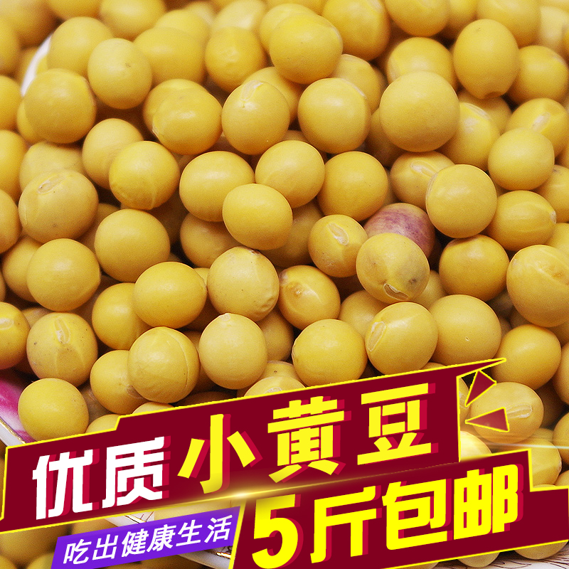 新东北 小黄豆 磨豆浆 可发豆芽 食用500g|msdalam kategori beras/Utara-Selatan barangan kering/perasa, meter/tepung/bijirin, Beans, kacang soya - dari Buy2taobao.com untuk memberikan perkhidmatan ejen Taobao profesional membeli