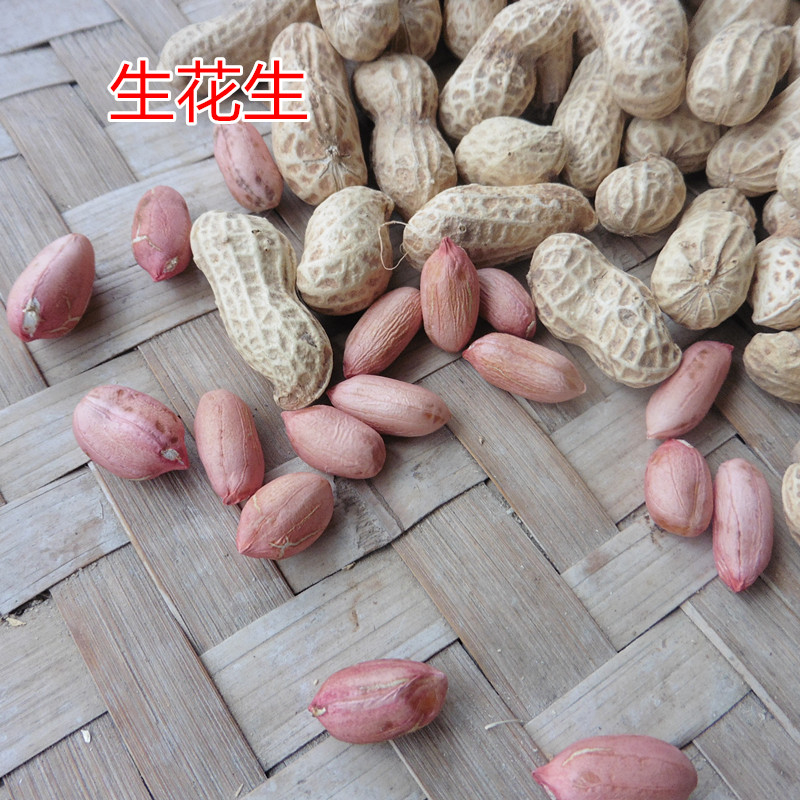 3斤装生花生重庆农家自种带壳粉红皮干花生可发出芽做种大花生米|ruв категории закуски/орехи/специальность, ореховый/орехи/жареные семечки, арахис - от Buy2taobao.com для оказания профессиональной услуги покупки агента Taobao