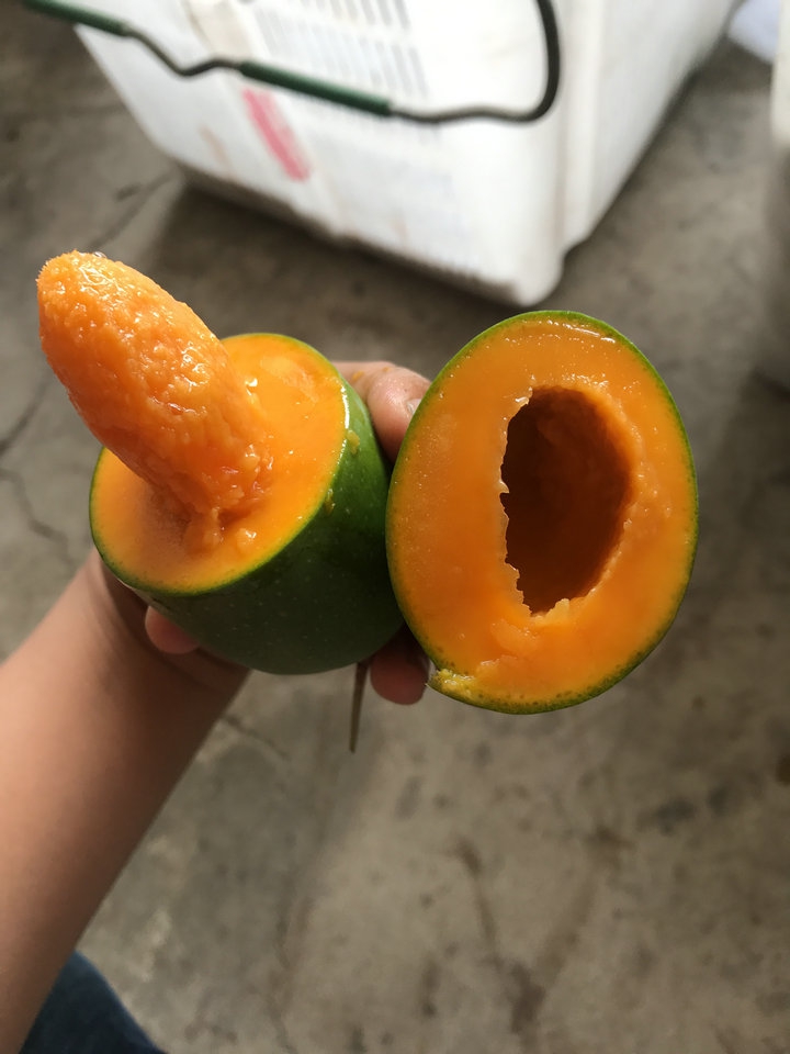 下批22号发【高端品质果】攀枝花新鲜水果 椰香味芒 芒果8斤 韵达|ruв категории водной мясо/свежие фрукты и овощи/еда, свежие фрукты, манго - от Buy2taobao.com для оказания профессиональной услуги покупки агента Taobao