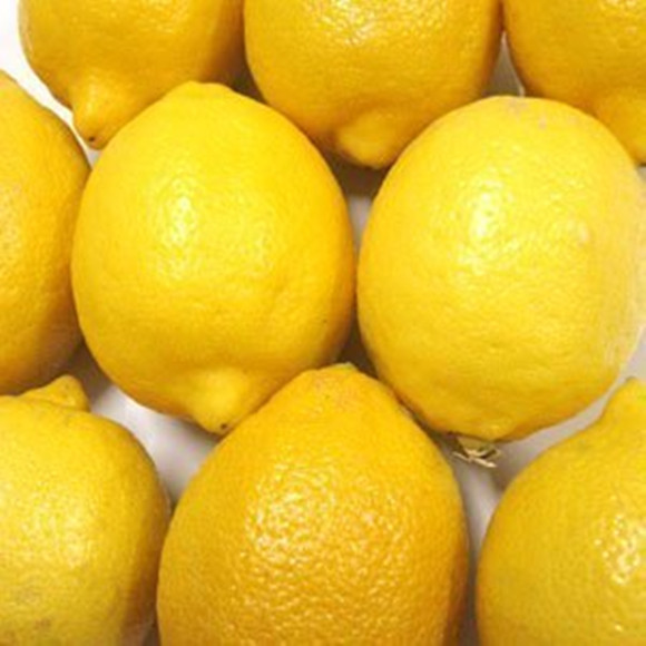 正宗 新鲜水果柠檬(纯正新鲜)黄柠檬1KG 7-9个左右 |ruв категории водной мясо/свежие фрукты и овощи/еда, свежие фрукты, другие - от Buy2taobao.com для оказания профессиональной услуги покупки агента Taobao