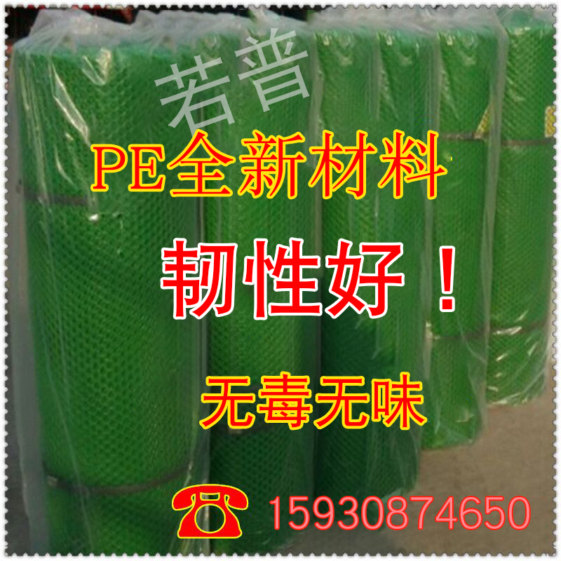 若普厂家直销绿色塑料平网塑料养殖网养蛇网养蜂网雏鸡网在类目 基础建材, 其它基础建材, 安全网中 - 来自Buy2taobao.com提供专业的淘宝代购服务