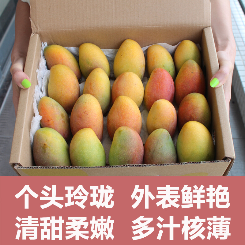 【農派三叔】廣西貴妃芒果帶箱10斤當季水果新鮮紅金龍青批發包郵在類目 水產肉類/新鮮蔬果/熟食, 新鮮水果, 芒果中 - 來自Buy2taobao.com提供專業的淘寶代購服務