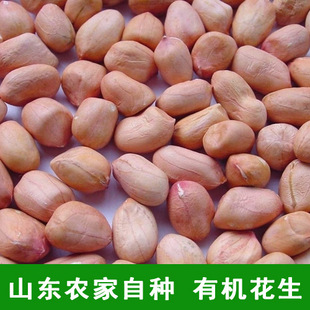  生花生米 新货 花生仁250g 农家特产有机土花生 山东特产有机杂粮