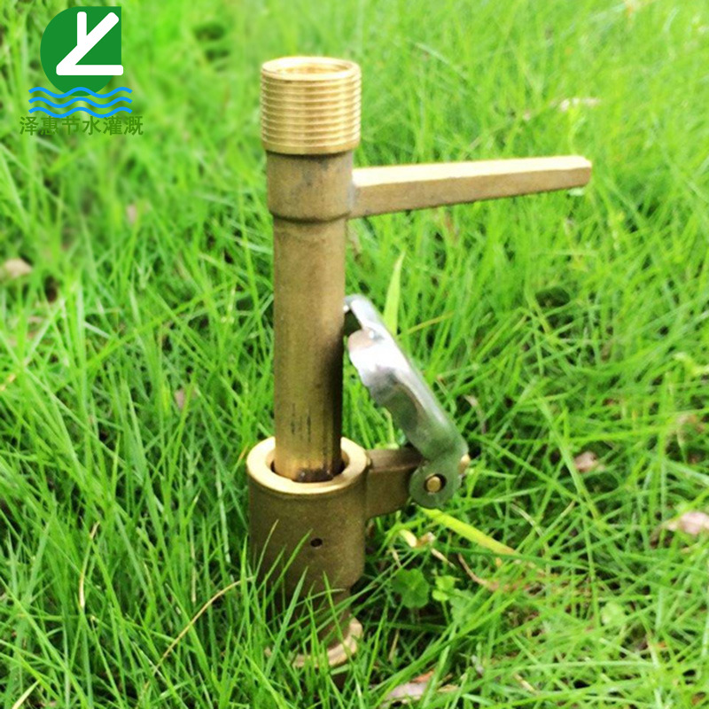 6分銅取水閥 園林綠化草坪快速取水器鑰匙杆插杆取水杆灑水栓DN20在類目 鮮花速遞/花卉仿真/綠植園藝, 園藝用品, 取水/灌溉設備, 取水閥中 - 來自Buy2taobao.com提供專業的淘寶代購服務