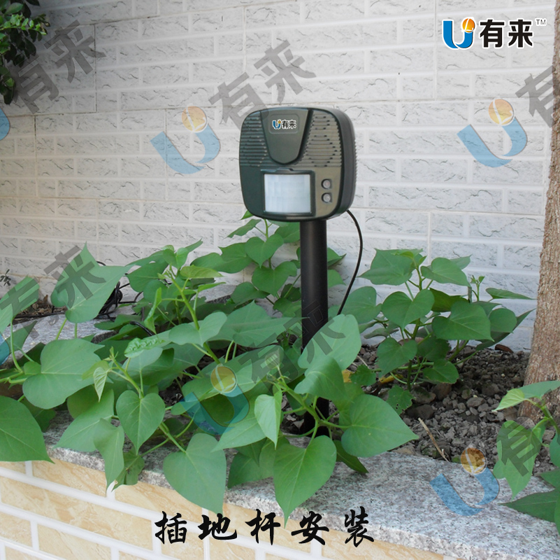 智能驱鸟器超声波防鸟器语音驱鸟驱猫器移动探测感应超声波驱鸟器|msdalam kategori haiwan peliharaan/makanan haiwan dan bekalan, Burung dan bekalan, Peralatan burung (baru), lain - dari Buy2taobao.com untuk memberikan perkhidmatan ejen Taobao profesional membeli