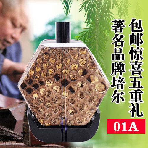 全国包邮  培尔品牌民族乐器正品01A二胡蟒皮乐器 送二胡超值配件