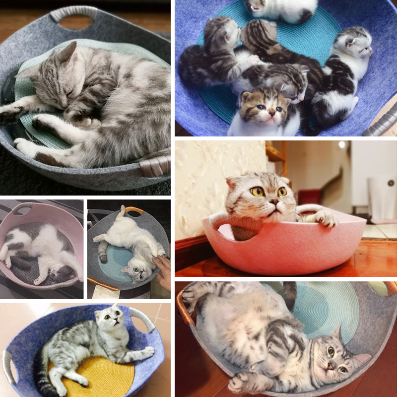 Four seasons Net Red Cat litter Pet Waterloo Teddy dog kennel Washable Cat bed House Four seasons currency Kitty Suppliesin the Pet/Pet food and supplies , Cat/Dog Supplies , Nest/House/Tent category - from Buy2taobao.com to provide professional Taobao agent buy service