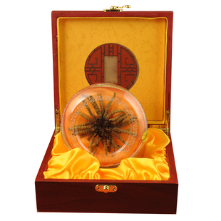  骏华天宝玉树冬虫夏草正品批发3条/克 青海虫草同仁堂级10g礼盒装