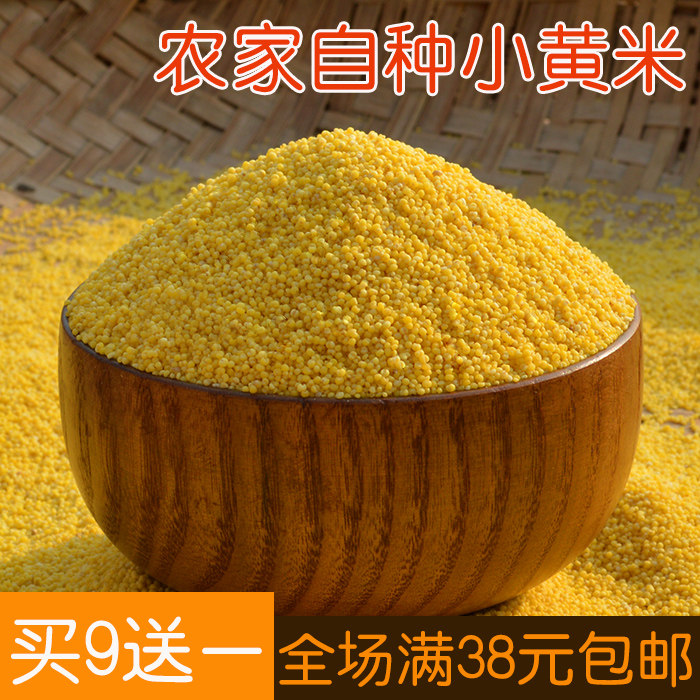 黄小米 沂蒙山区农家 月子米 小黄米 250g无污染宝宝米 满额包邮