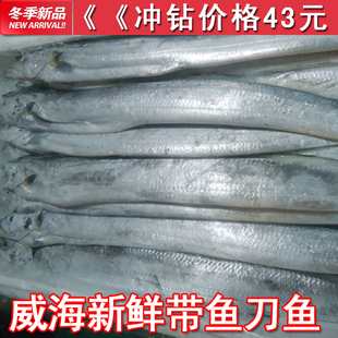  新鲜带鱼 野生刀鱼 威海特产 鲜活海鲜 7-8两左右 水产品鲜活带鱼