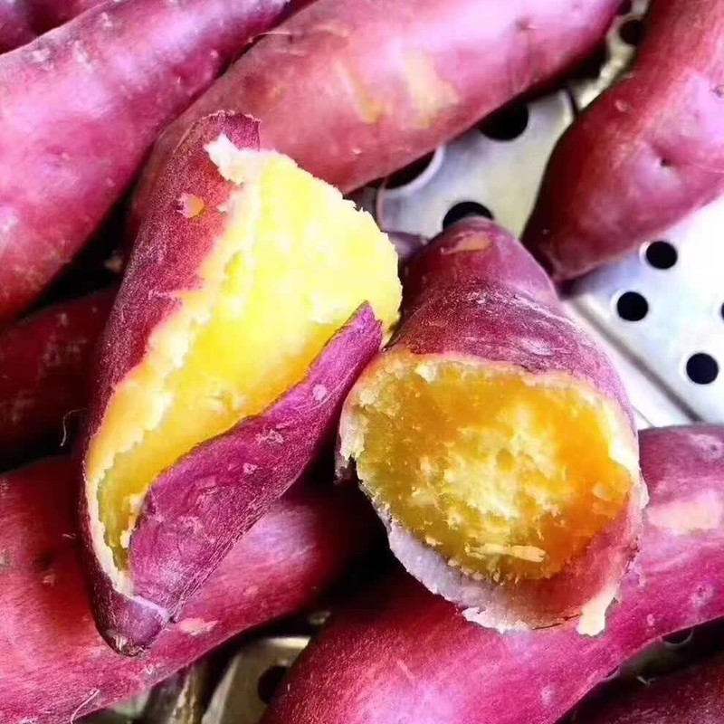 Linan Mount Hong potato fresh sweet potato Sweet potato Purple sweet potato Potato Fragrant and sweet Chestnut potato Farm Small sweet potatoin the Aquatic meat/Fresh fruits and vegetables/Cooked , Fresh vegetables/Vegetable products , Fresh vegetables , Sweet potato category - from Buy2taobao.com to provide professional Taobao agent buy service