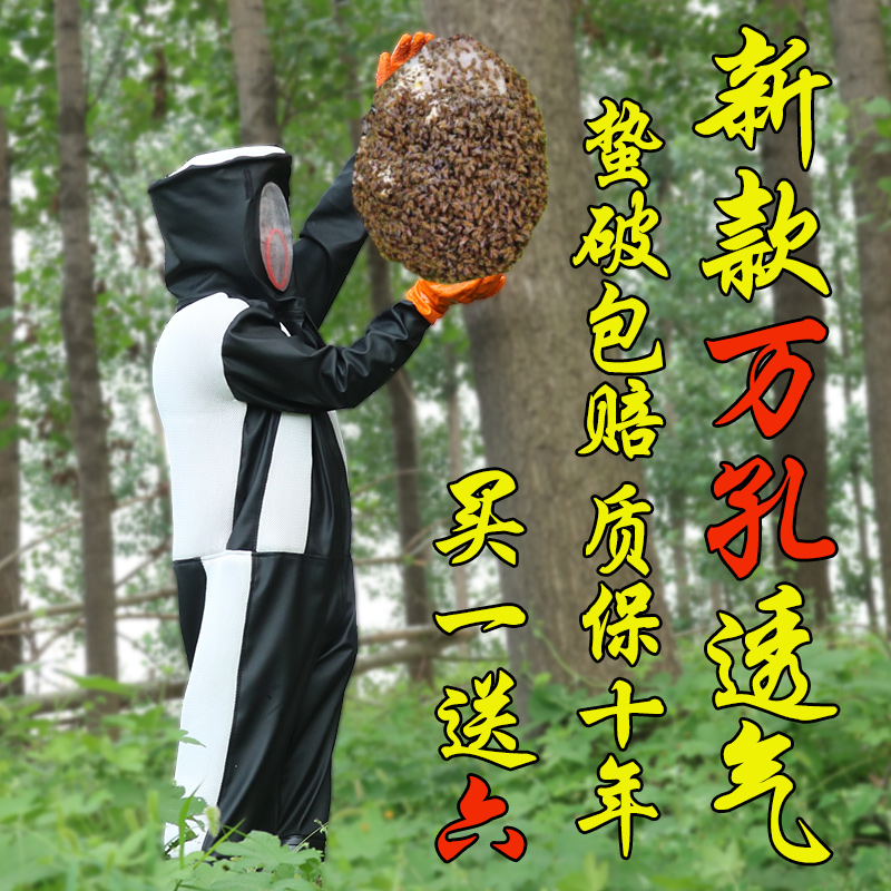 Wasp Dedicated full set ventilation thickening Wasp one-piece garment Fan Hy7u4MGITcin the Traditional nourishing food , Bee , Other bee category - from Buy2taobao.com to provide professional Taobao agent buy service