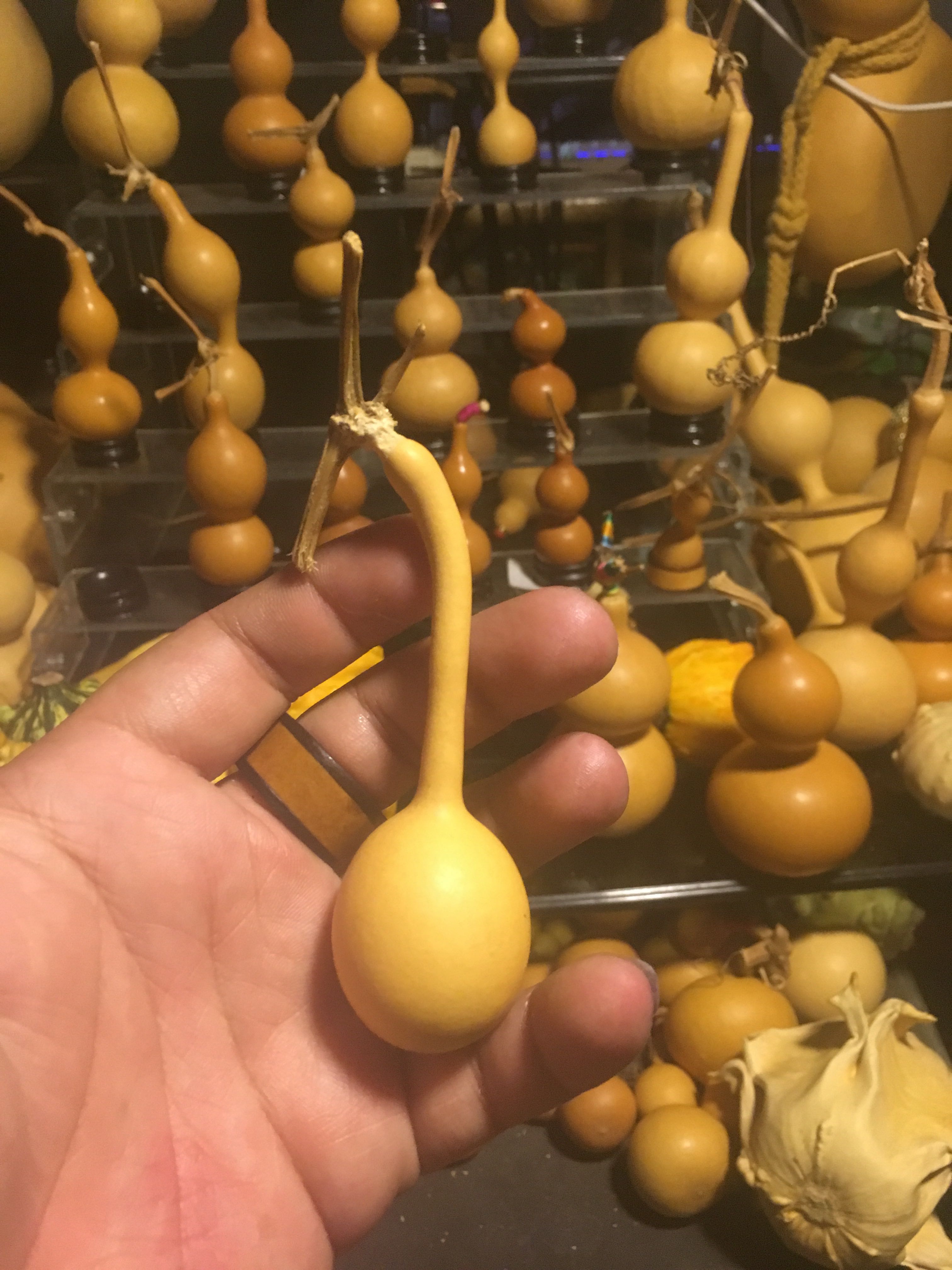 直播间专拍链接 精品葫芦手捻葫芦在类目 饰品/流行首饰/时尚饰品新, 摆件中 - 来自Buy2taobao.com提供专业的淘宝代购服务
