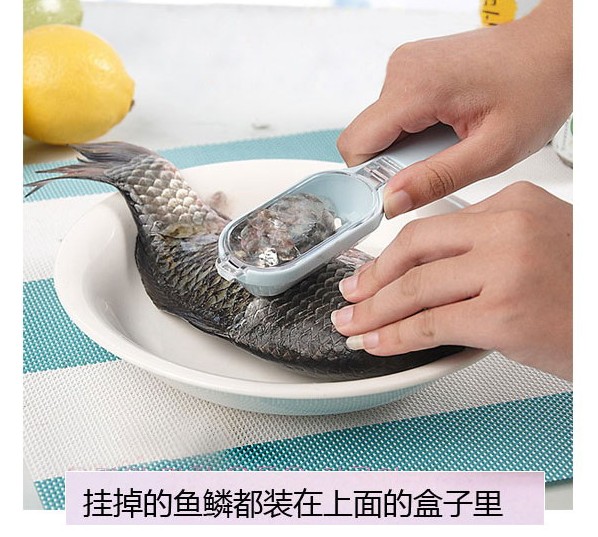 originality practical With cover Scales Plane iron Scraping scales is Scales planing Scales family kitchen practical Gadgetsin the Kitchen/Cooking utensils , Cooking utensils , Tool , Scales planing category - from Buy2taobao.com to provide professional Taobao agent buy service