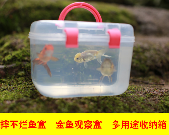 Fish animal Observation bucket Plastic medical box First aid kit Cosmetics Storage Storage Reptile tankin the Storage consolidation , Home Storage appliances , Storage box , Medicine box category - from Buy2taobao.com to provide professional Taobao agent buy service