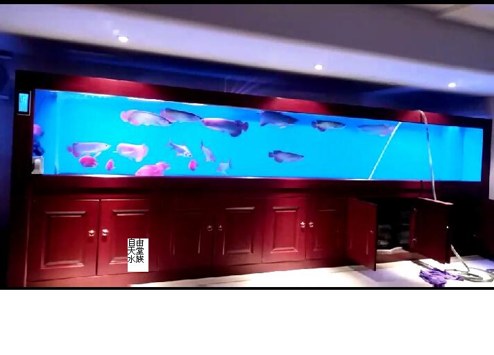 Shanghai Customized large fish tank Glass fish tank Acrylic fish tank hotel Seafood cylinderin the Pet/Pet food and supplies , Aqua World , Aquarium fish tanks and other equipment , Aquarium/Aquarium category - from Buy2taobao.com to provide professional Taobao agent buy service